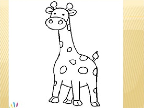 Поэтапное рисование жирафа в старшей группе