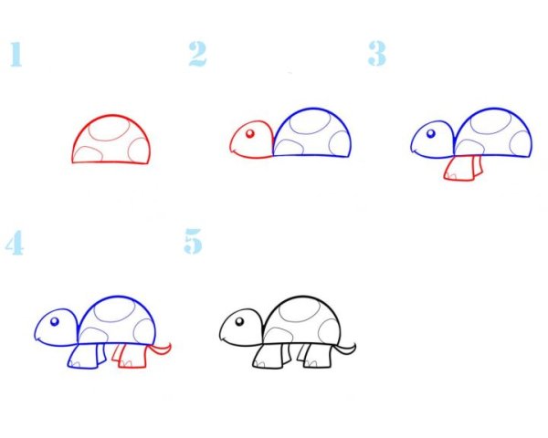 Черепаха поэтапное рисование для детей
