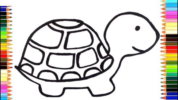 Черепаха рисунок для детей карандашом