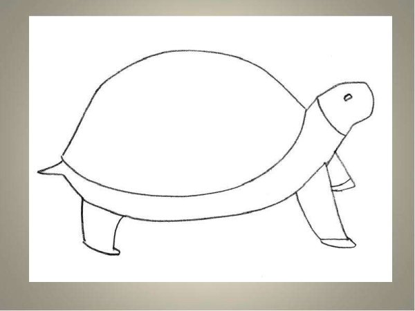 Легкие рисунки черепах