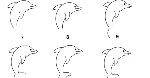 Поэтапное рисование дельфина для детей