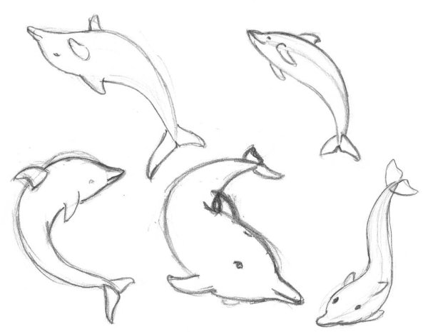 Дельфин поэтапное рисование