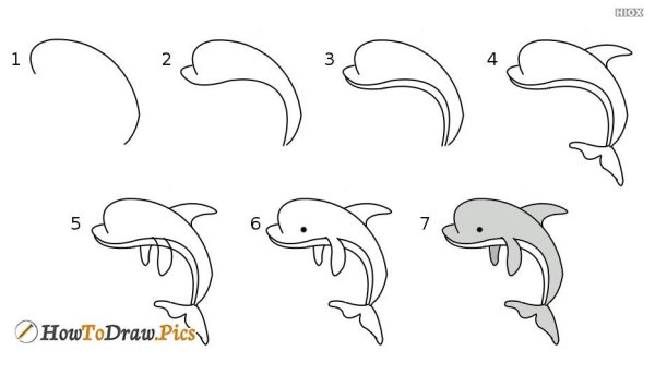 Поэтапное рисование дельфина