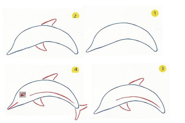 Поэтапное рисование дельфина