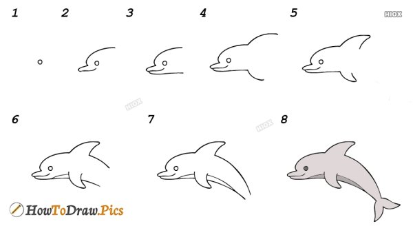 Дельфин рисование поэтапное для детей