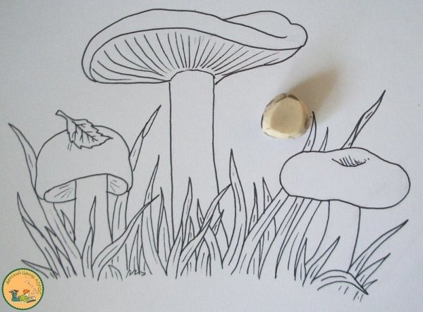 Рисование с детьми грибы