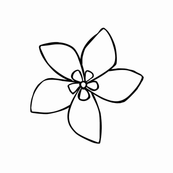 Рисунки для раскрашивания цветы