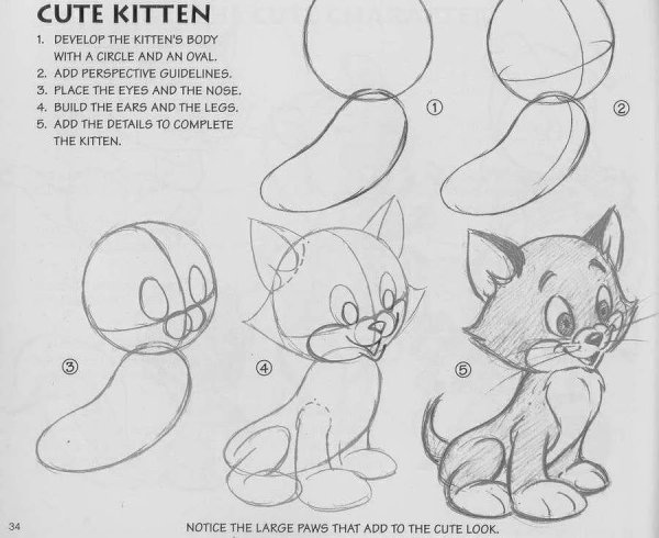 Рисунки жывотных карандаш