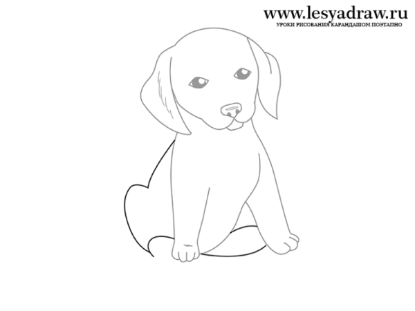 Щенок рисунок карандашом