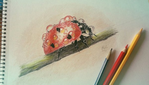 Рисование акварельными карандашами