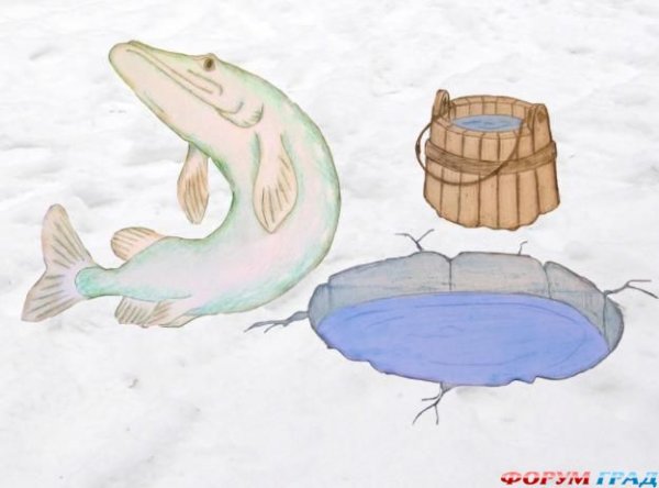 Сказочная прорубь щука