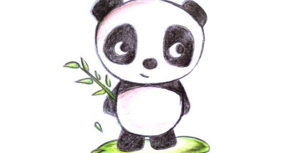 Панда рисунок карандашом для срисовки для начинающих