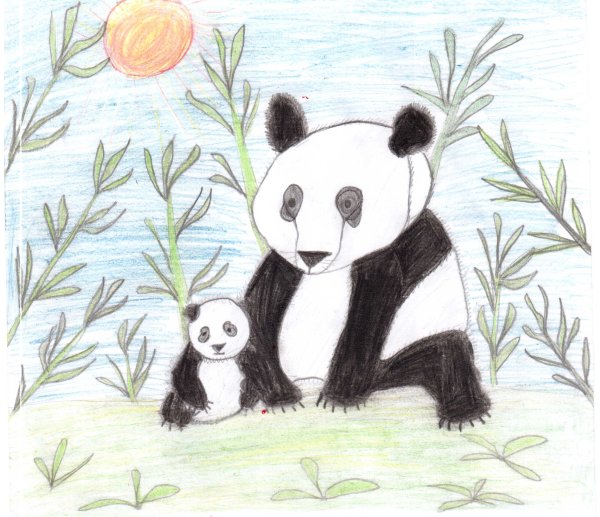 Панда карандашом