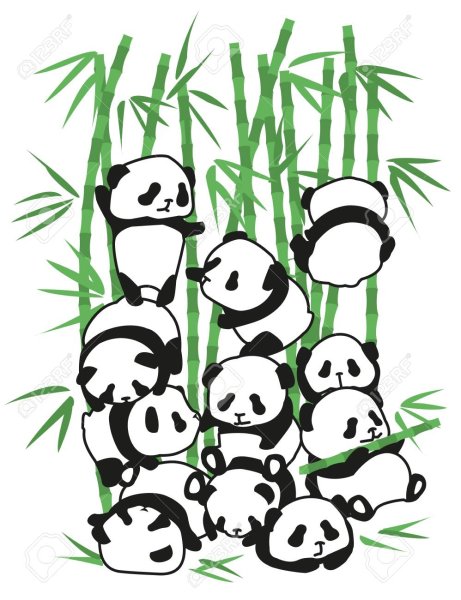 Панда карандашом с бамбуком