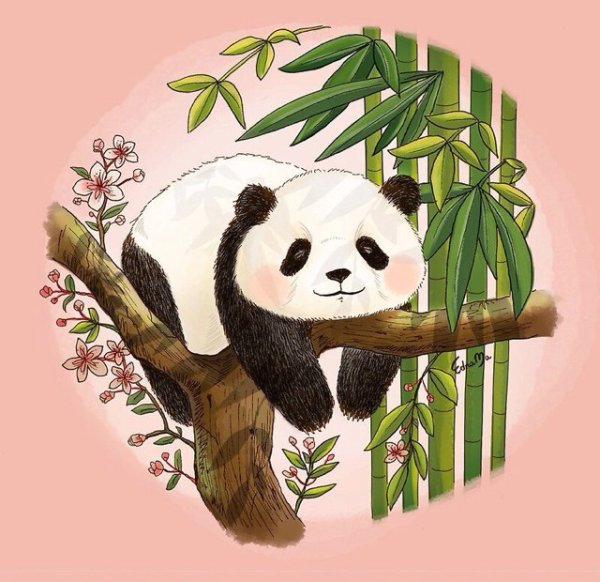 Панда на бамбуке