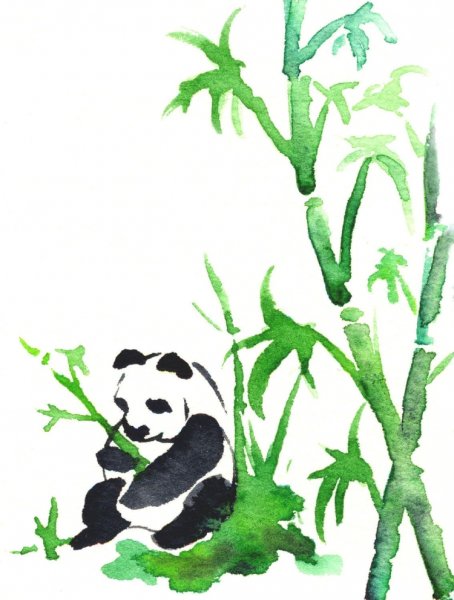 Пандочка на бамбуке нарисовать