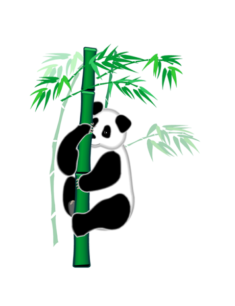 Панда на бамбуке