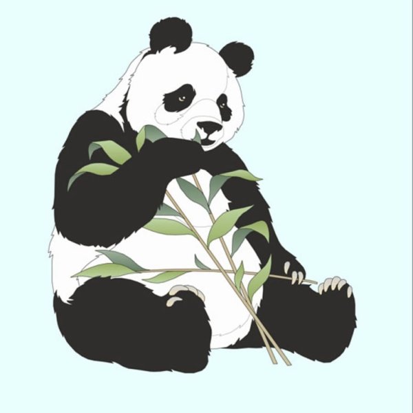 Панда с бамбуком рисунок