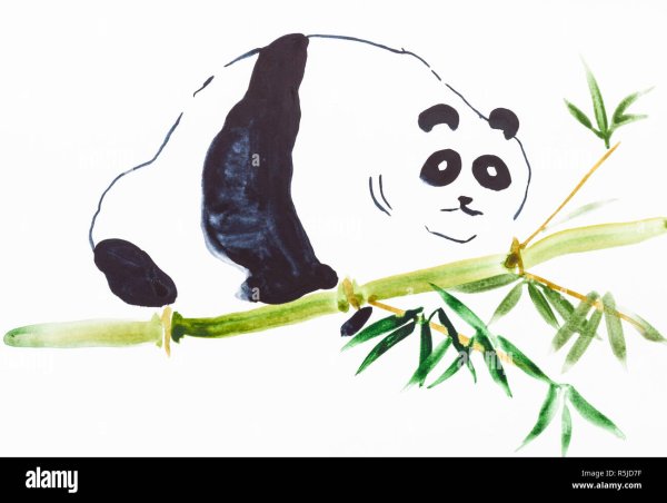Раскраска милых пандочек на бамбуке