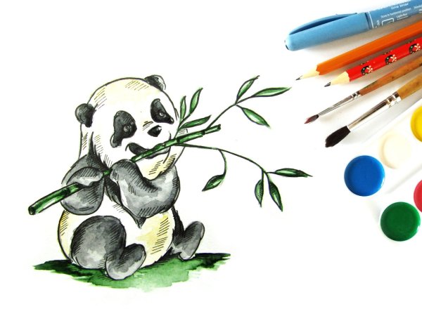 Панда с бамбуком рисунок карандашом легкий