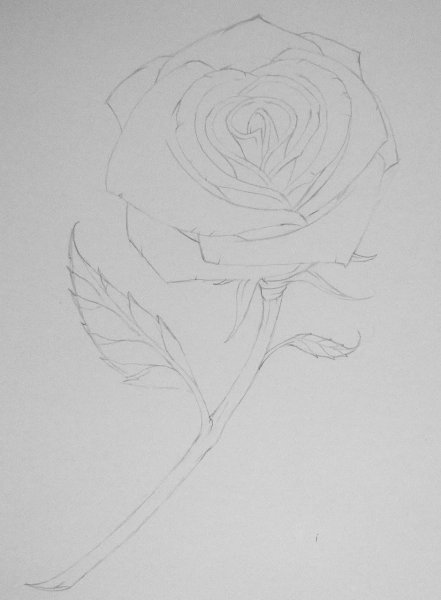 Рисунки на свободную тему для срисовки