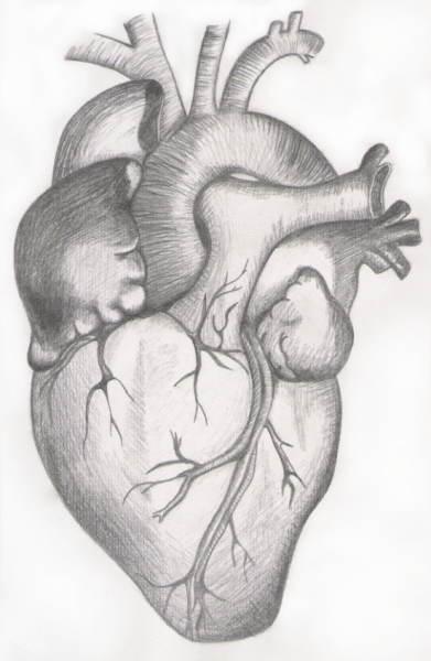 Сердце рисунок карандашом