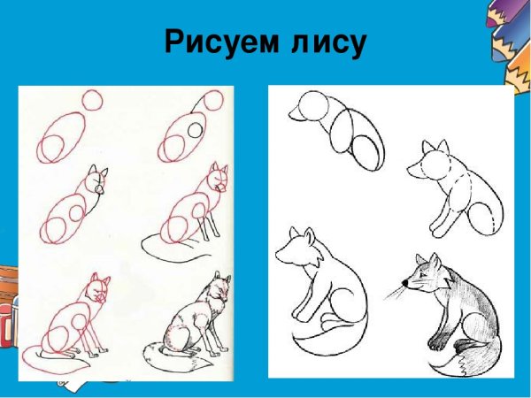 Схема рисования лисы