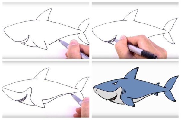 Акула поэтапно