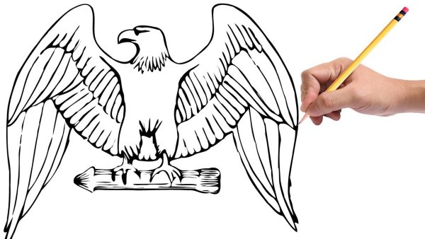 Орёл для срисовки