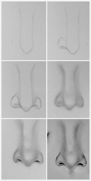 Как нарисовать нос