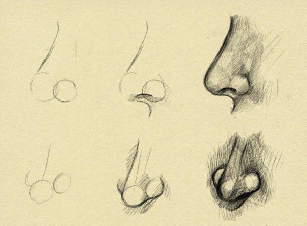 Рисование носа