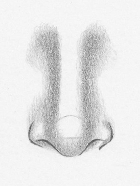 Этапы рисования носа