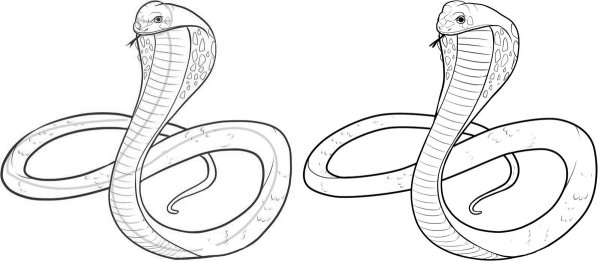 Змея карандашом