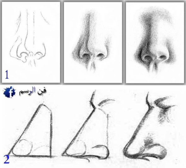Поэтапные уроки рисования носа