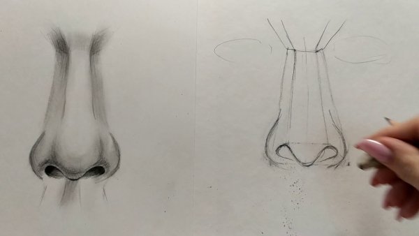 Нос для рисования девушек