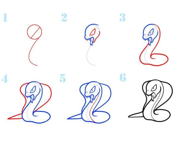 Змея поэтапное рисование