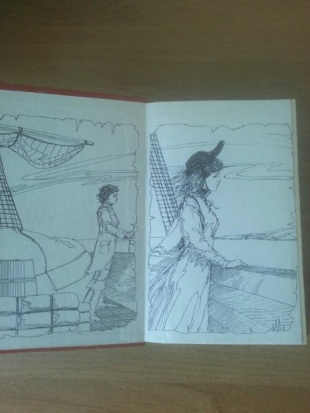 Дети капитана Гранта остров