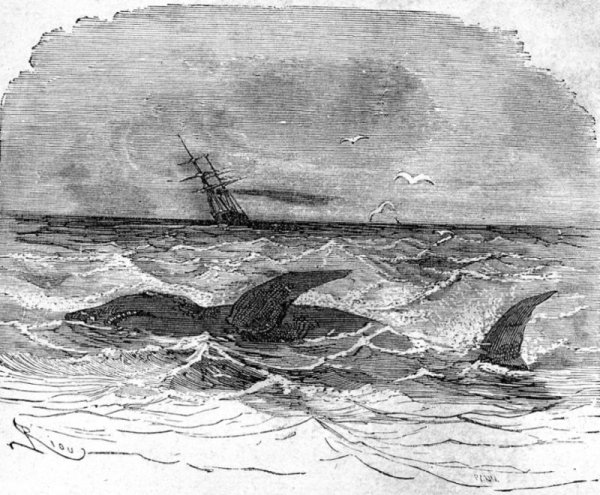 Дети капитана Гранта