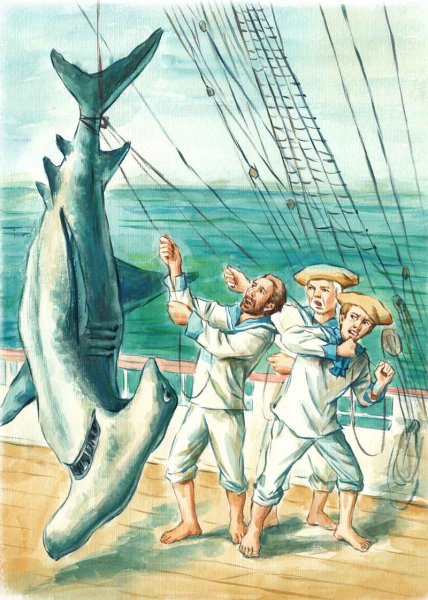 Яхта Дункан Жюль Верн