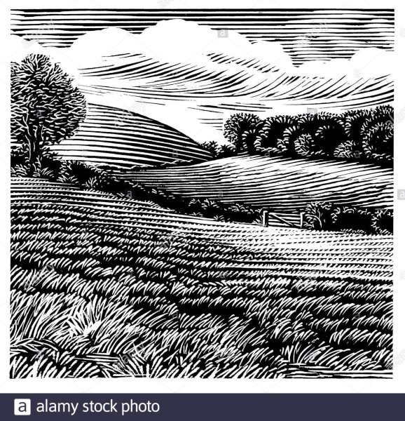 Линогравюра холмы