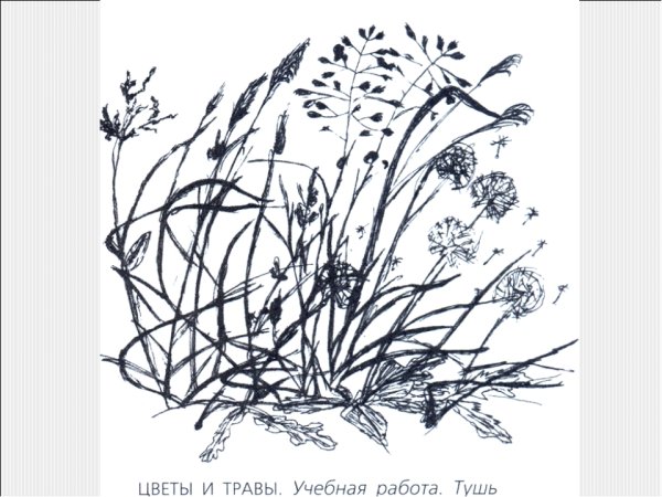 Трава в графике