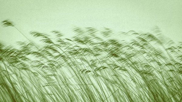 Ветер рисунок