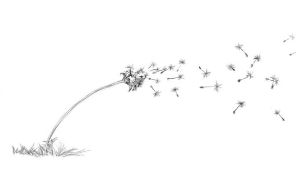 Трава просыжтым карандашом