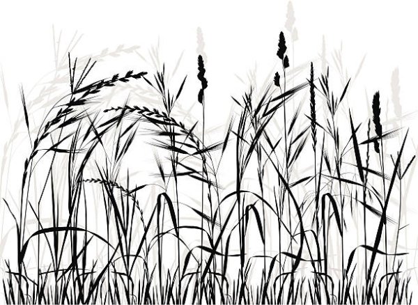 Колыхание травы рисунок