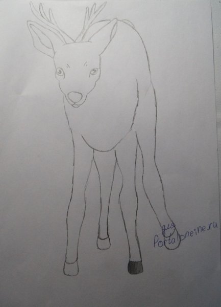 Иллюстрация к сказке серебряное копытце детские рисунки