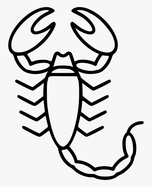 Рисунок скорпиона легкий