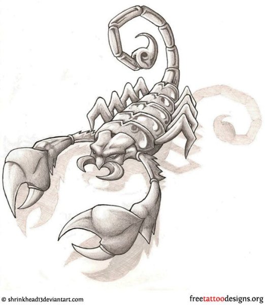 Татуировка Скорпион эскизы