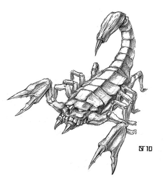 Скорпион рисунок карандашом