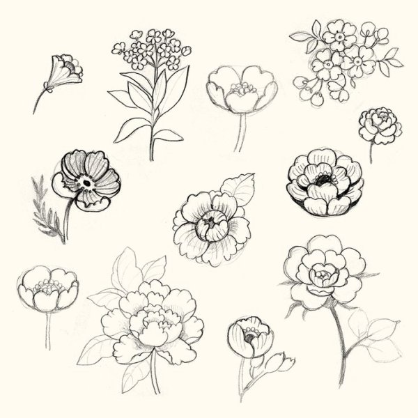 Маленькие цветочки для срисовки