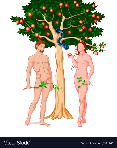 Сотворение мира адам и ева